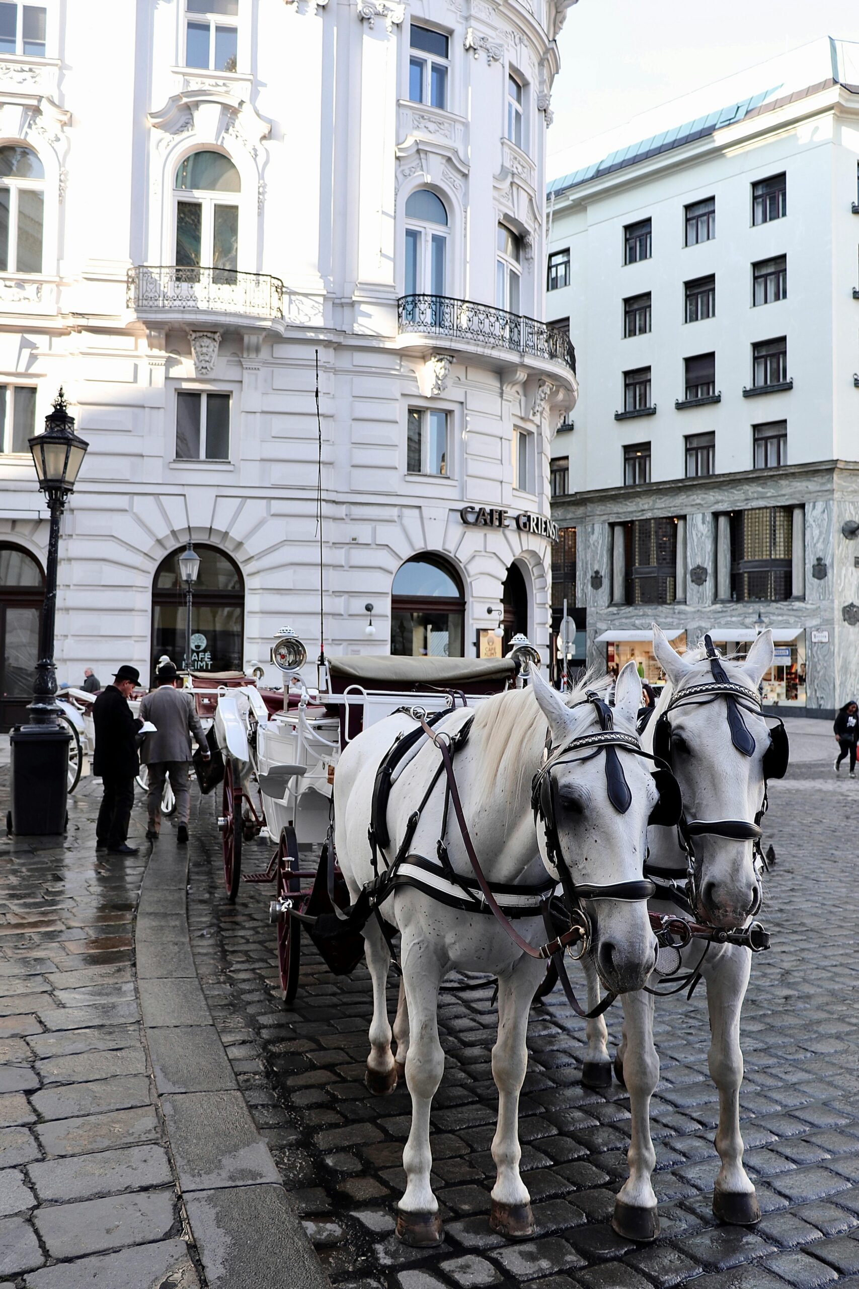 Harmony_Collection_Stock_Wien15