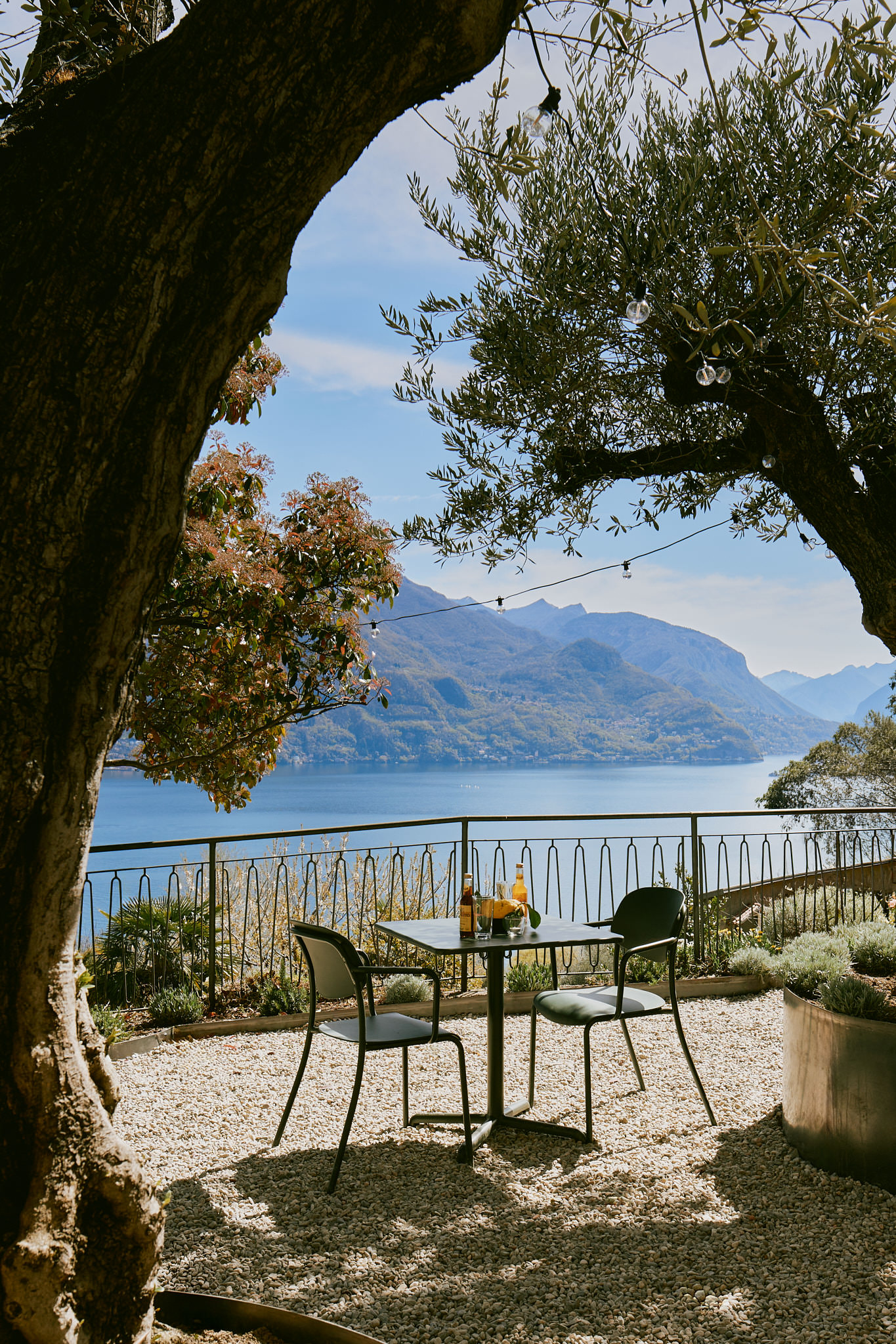 olivengarten-seeblick