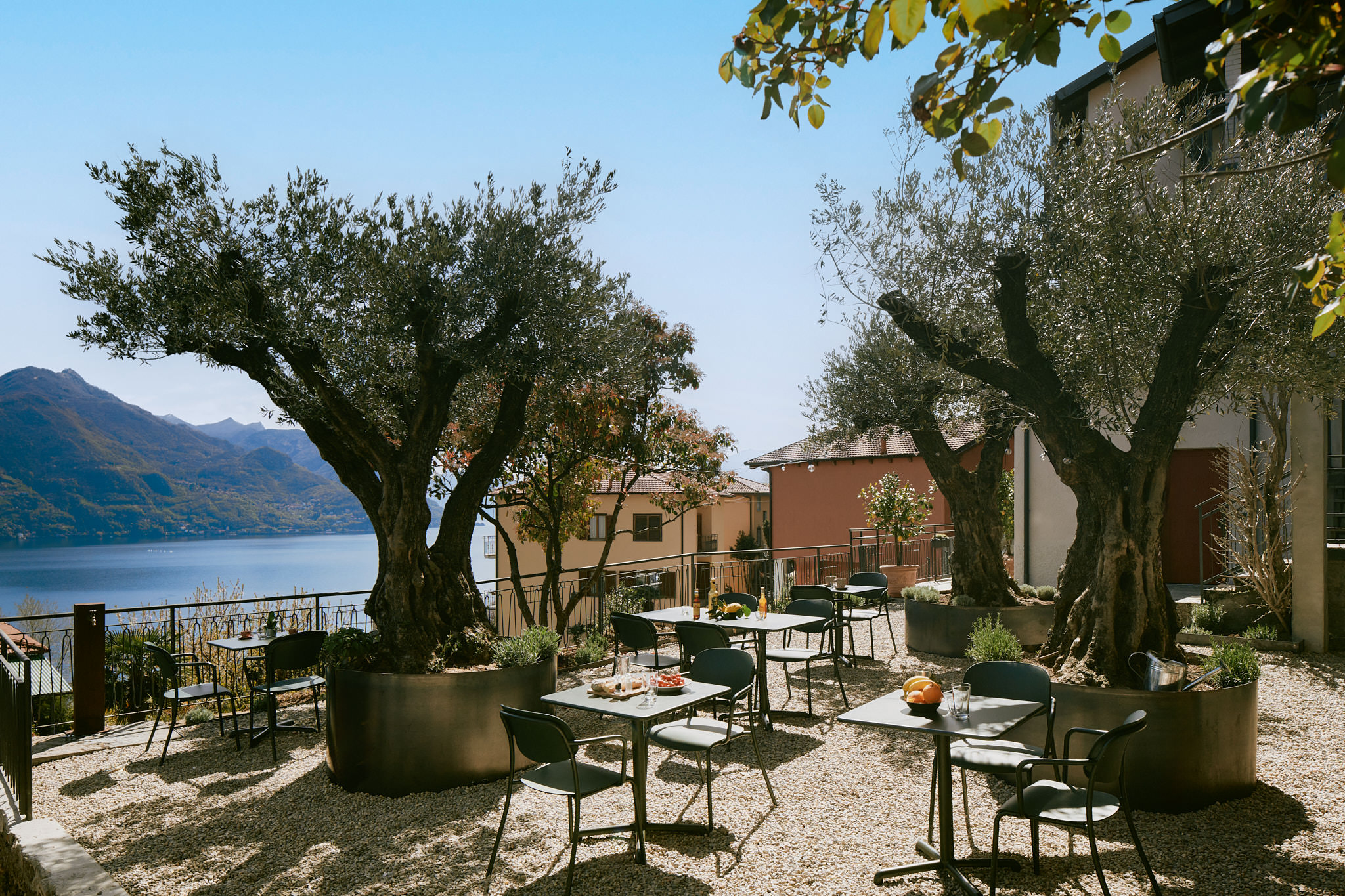 Terrasse mit Olivenbäumen und Seeblick